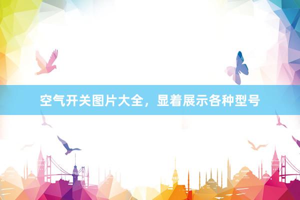 空气开关图片大全，显着展示各种型号