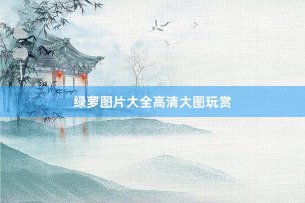 绿萝图片大全高清大图玩赏