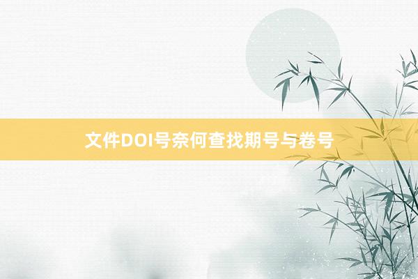 文件DOI号奈何查找期号与卷号